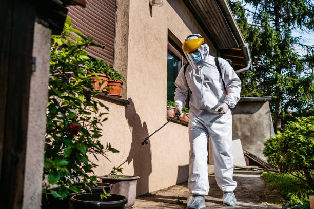 Best Pest Prevention Services  in Shelburn, IN