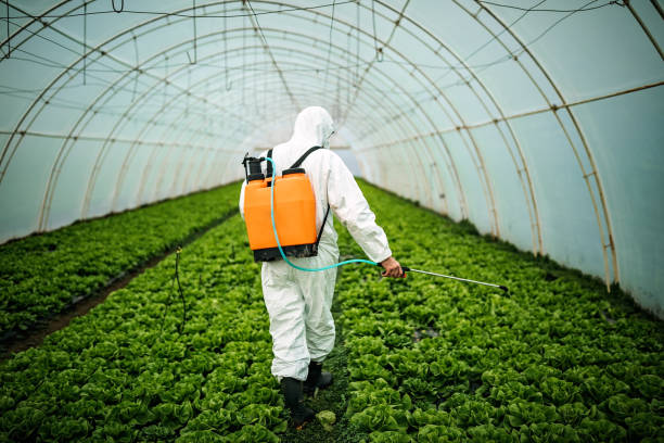 Best Best Pest Control Companies  in Shelburn, IN
