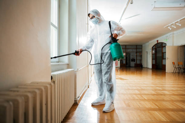 Best Termite Control Services  in Shelburn, IN