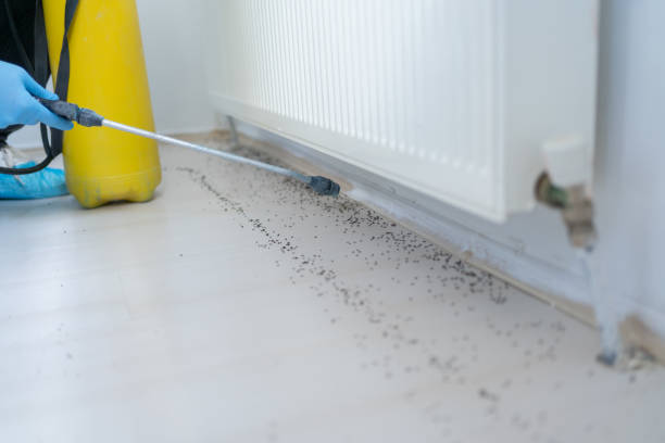 Best Residential Pest Control  in Shelburn, IN