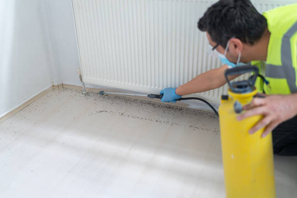 Best Mosquito Control Services  in Shelburn, IN