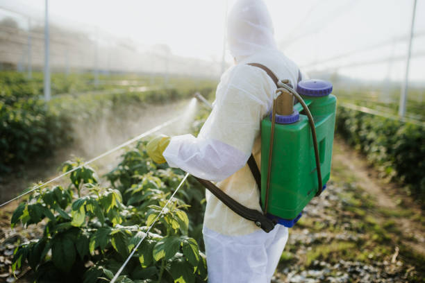  Shelburn, IN Pest Control Pros